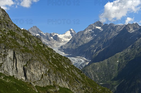 Narrow mountain valley with Fiescher Glacier and Finsteraarhorn, Bernese Alps, Valais, Switzerland, Europe