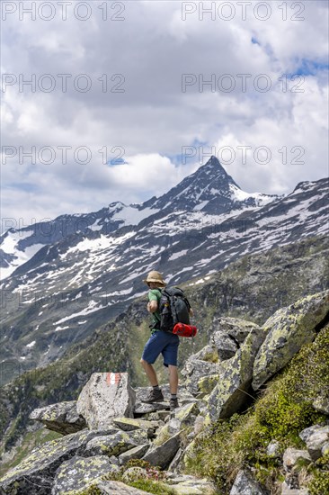 Mountaineer on rocky hiking trail, Berliner Hoehenweg, mountain panorama with summit Schrammacher, Zillertal Alps, Tyrol, Austria, Europe