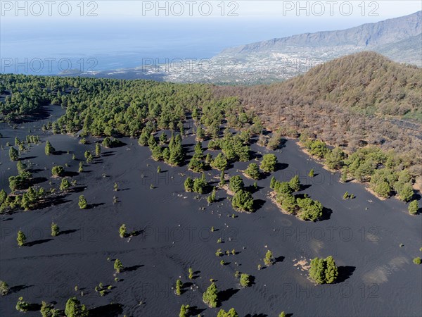 Aerial view of the lava sand areas Montana de Enrique and Quemada, Tacande de Arriba, Los Llanos, La Palma, Canary Islands, Spain, Europe