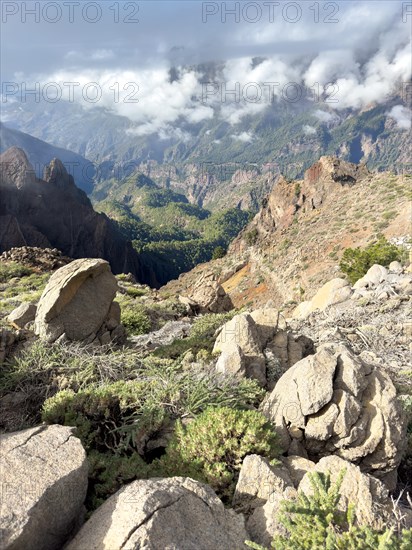 Barranco de la Piedra Majorera, Caldera de Taburiente, La Palma, Canary Islands, Spain, Europe