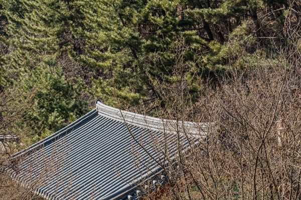 Roof of an oriental building surrounded by trees in local woodland park in South Korea