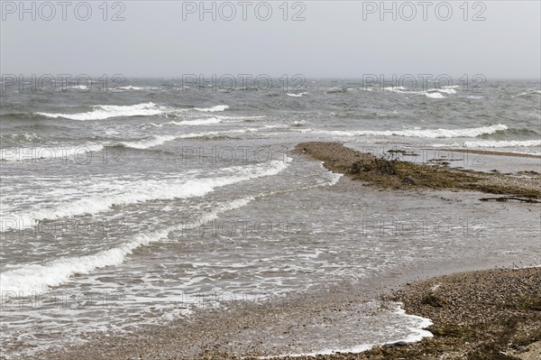 Stormy weather, waves in the Gulf of Saint Lawrence, Gaspesie, Province of Quebec, Canada, North America