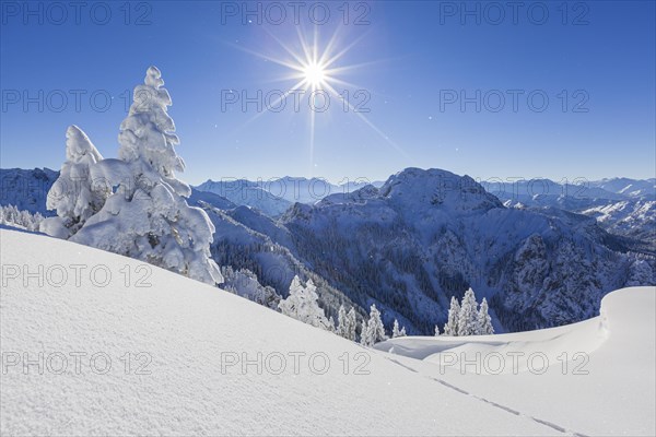 Winter landscape with trees in front of mountains, sunbeams, backlight, snow, Tegelberg, view of Ammergau Alps, Bavaria, Germany, Europe