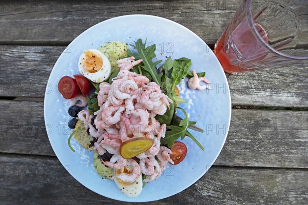 Raeksmoergas, Swedish crab bread, Gothenburg, province of Vaestra Goetalands laen, Sweden, meal, food, plate, served, appetising, Europe