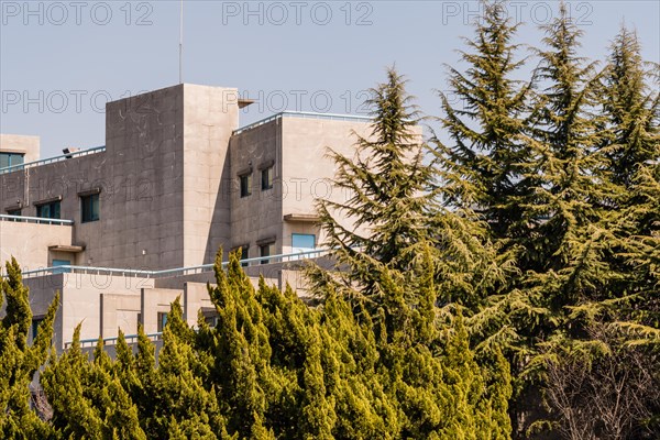 White concrete building with metal railing behind a stand of evergreen trees with a dull blue shy in the background