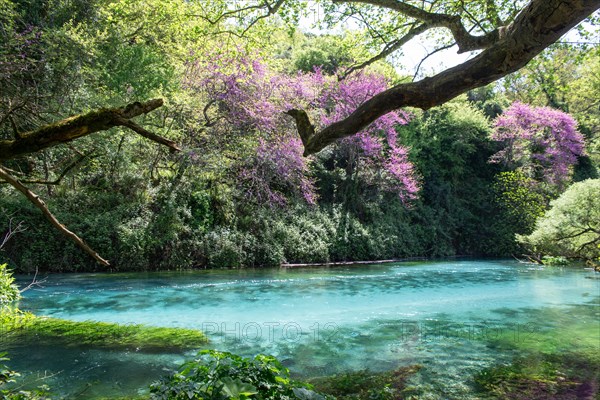 Mountain lake Syri i Kalter, karst spring, underground terrain or so-called karst cave in carbonate rock formed by weathering, called the blue eye, Krongj, Albania, Europe