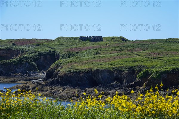 The Ile de l'Aber with ruins of the fort in the Baie de Douarnenez, Crozon peninsula, Finistere department, Brittany region, France, Europe