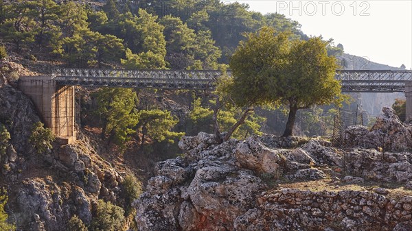 Iron bridge spans a rocky valley with lush vegetation, Aradena Gorge, Aradena, Sfakia, Crete, Greece, Europe