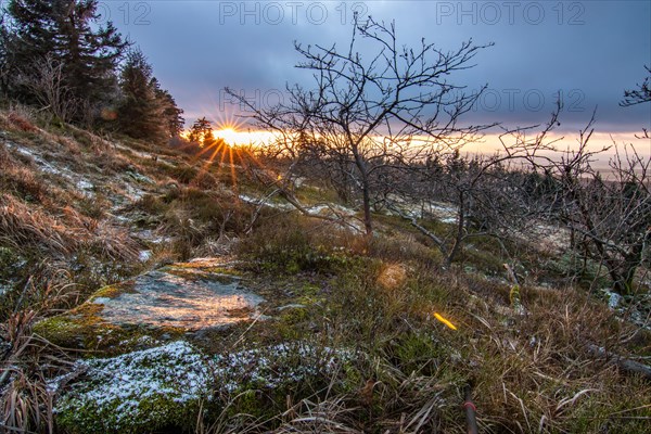 Landscape on the Grosser Feldberg, Taunus volcanic region. A cloudy, sunny winter day, meadows, hills, snow and forests with a view of the winter sunset. Hesse, Germany, Europe