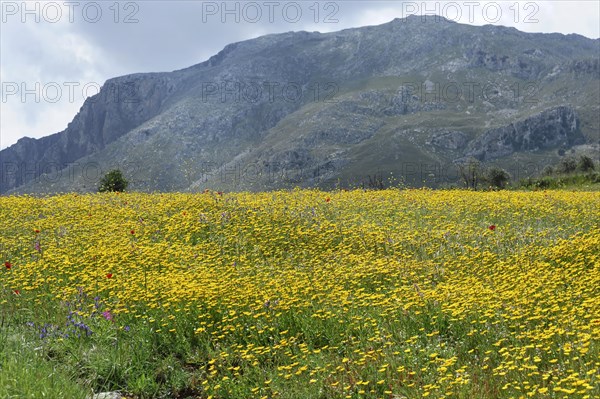 Landscape near Rethymno, Crete, Greece, Europe