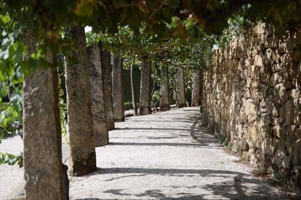 Path, Jardim das Coroas, Mateus Palace (Fundacao da Casa de Mateus), Mateus, Vila Real, Portugal, Europe