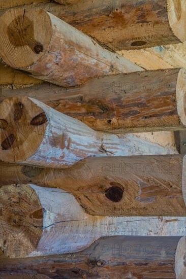 Exterior corner of log cabin with details of joints and mud holding structure together