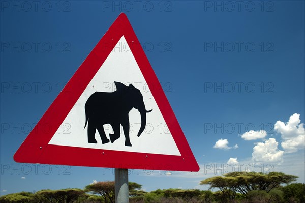 Warning of elephants, traffic sign, traffic, elephant, warning sign, conservation, wilderness, note, attention, safety, safari, tourism, travel, Botswana, Africa