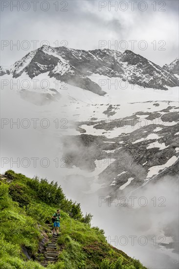 Mountaineers on a hiking trail, in the background glaciated peak Dosso Largo and glacier Schlegeiskees, cloudy atmospheric mountain landscape, ascent to Furtschaglhaus, Berliner Hoehenweg, Zillertal, Tyrol, Austria, Europe