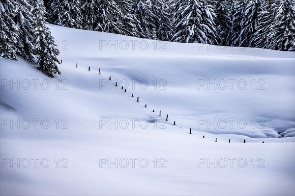 Snow-covered alpine landscape, Balderschwang, Oberallgaeu, Bavaria, Germany, Europe