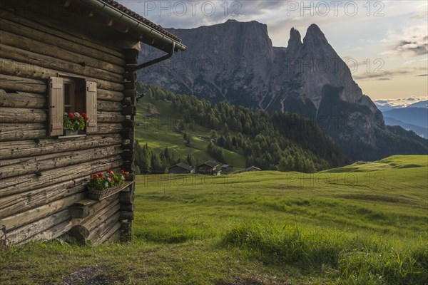Alpine hut on the Alpe di Siusi, behind the peak of the Sciliar, Val Gardena, Dolomites, South Tyrol, Italy, Europe