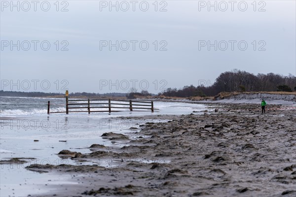 Person in winter clothing walking along a wooden barrier on a cloudy beach, Vorpommersche Boddenlandschaft National Park, Zingst, Mecklenburg-Vorpommern, Germany, Europe