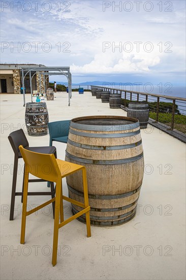 Wine barrels on the terrace of the Tenuta delle Ripalte winery, Elba, Tuscan Archipelago, Tuscany, Italy, Europe