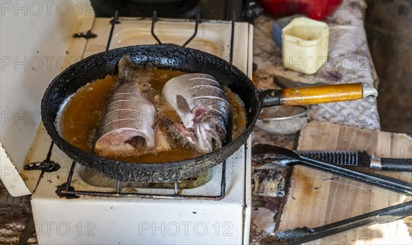 Fried trout in a yurt, Kyrgyzstan, Asia