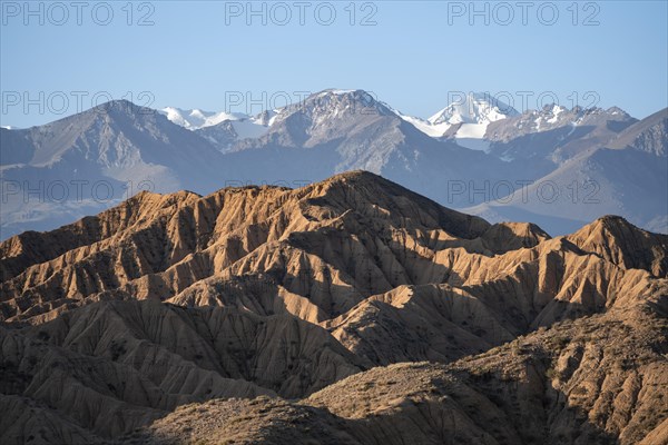 Sunrise over canyons, Tian Shan mountains in the background, eroded hilly landscape, badlands, Valley of the Forgotten Rivers, near Bokonbayevo, Yssykkoel, Kyrgyzstan, Asia