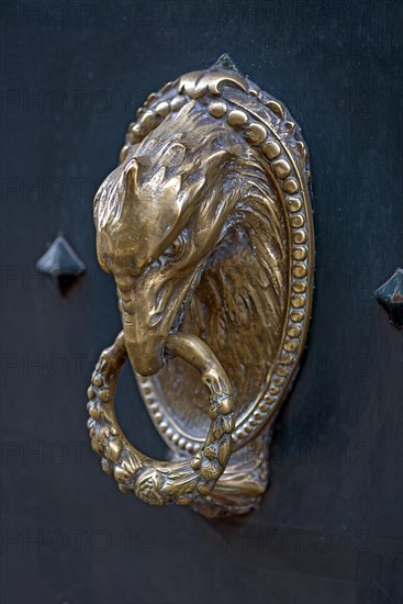 Eagle's head as a door knocker in the historic city centre, Genoa, Italy, Europe