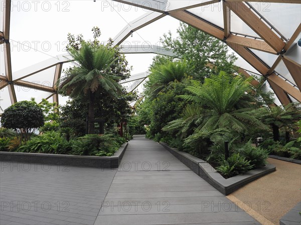 Crossrail Place roof garden in London, UK