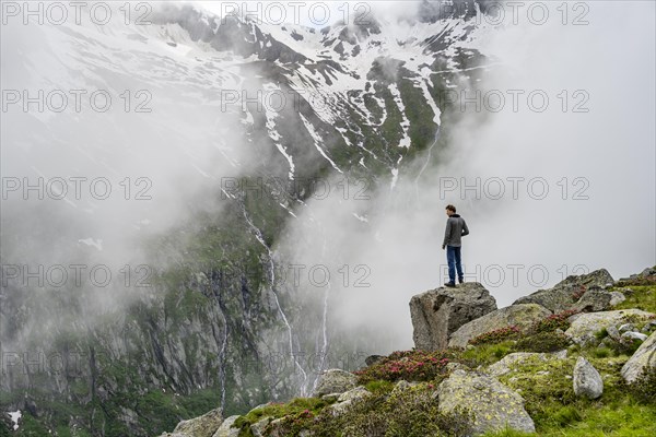 Mountaineer standing on a rock, cloudy mountain landscape with blooming alpine roses, view of rocky and glaciated mountains, Furtschaglhaus, Berliner Hoehenweg, Zillertal, Tyrol, Austria, Europe