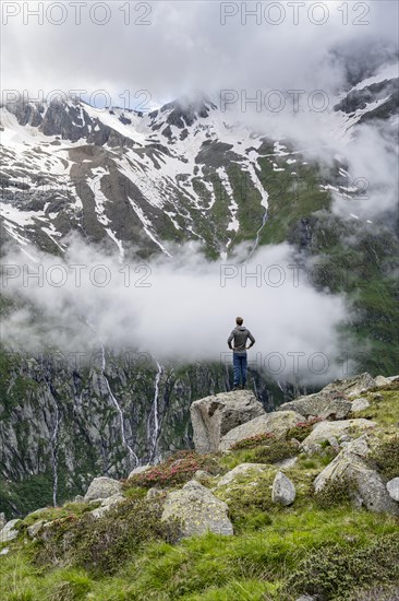 Mountaineer standing on a rock, cloudy mountain landscape with blooming alpine roses, view of rocky and glaciated mountains, Furtschaglhaus, Berliner Hoehenweg, Zillertal, Tyrol, Austria, Europe