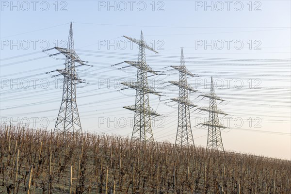 Power pylons, power lines, overhead lines, vineyard, Baden-Wuerttemberg, Germany, Europe