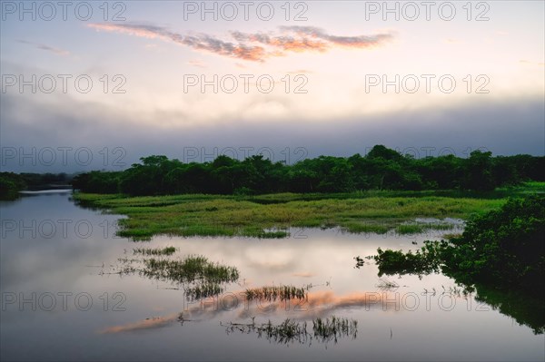 Morning fog on the Amana River, an Amazon tributary, Amazonas state, Brazil, South America