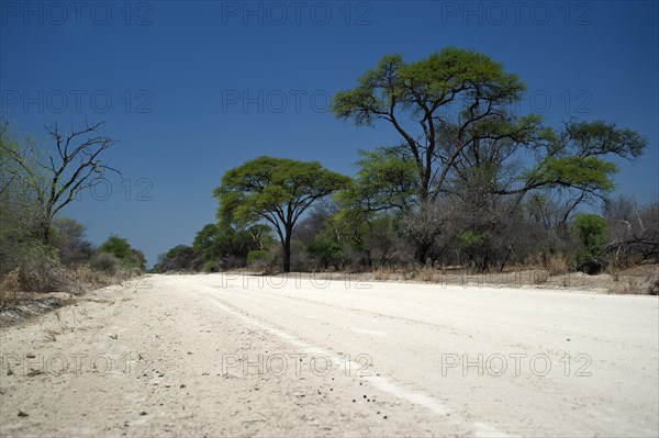 The C44 near Tsumke, road, highway, path, centre, nobody, lonely, road trip, landscape, journey, car, adventure, sandy track, distance, Namibia, Africa