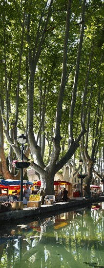 Market in Curcuron by the village pond, Luberon, Vaucluse, Provence, France, Europe