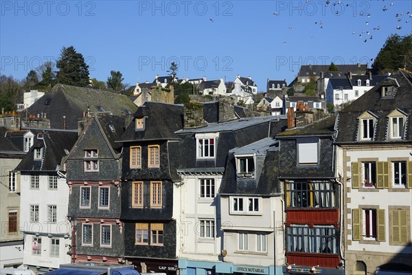 Old houses on Place Alende, Morlaix Montroulez, Finistere Penn Ar Bed department, Brittany Breizh region, France, Europe