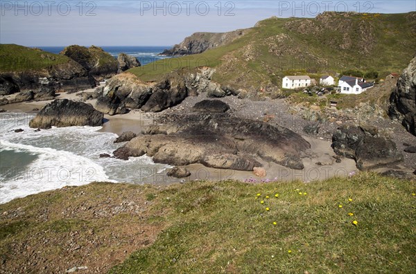 Coastal scenery near Kynance Cove, Lizard Peninsula, Cornwall, England, UK