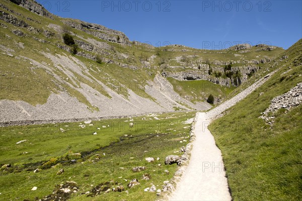 Gordale Scar carboniferous limestone gorge, Yorkshire Dales national park, England, UK