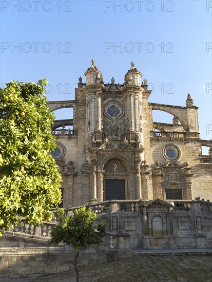 Cathedral church in Jerez de la Frontera, Cadiz province, Spain, Europe