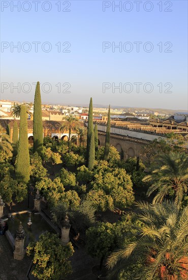 Raised angle view of Great Mosque courtyard gardens, Mezquita cathedral, Cordoba, Spain, Europe