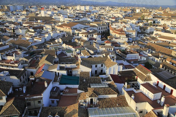 Oblique raised angle view of historic city centre buildings, Cordoba, Spain, Europe