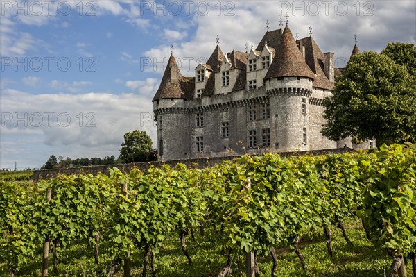 The castle Chateau de Monbazillac and vineyard, Dordogne, Aquitaine, France, Europe