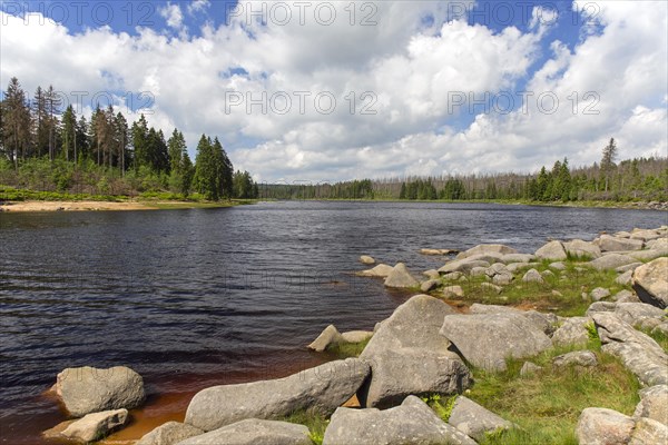 Oderteich, historic reservoir near Sankt Andreasberg in the Upper Harz National Park, Lower Saxony, Germany, Europe