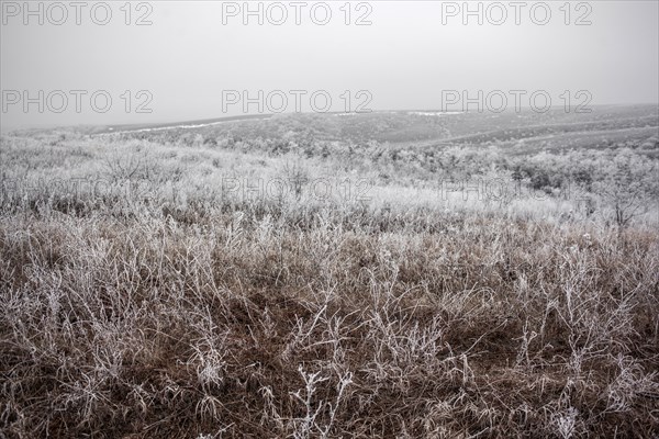 Hoarfrost, winter landscape, front near Debaltseve, Donbas, Ukraine, Europe