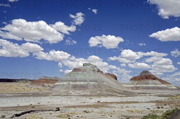 The Tepees or cones are structures with layers of blue, purple and gray created by iron, carbon, manganese and other minerals in a cone shaped formation, Painted Desert and Petrified Forest National Park, Arizona, USA, North America