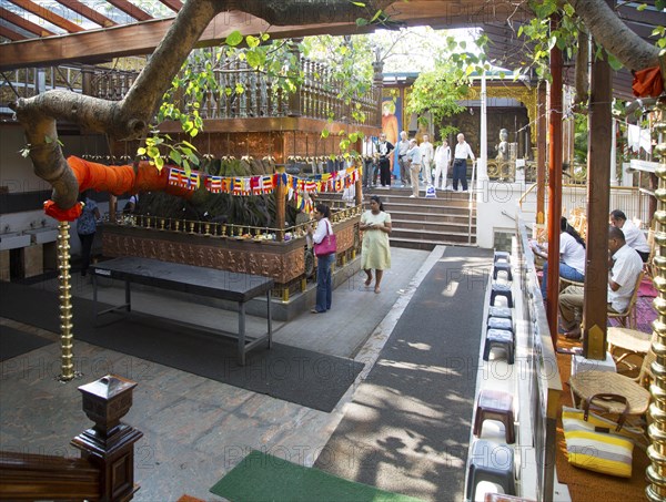 People praying Gangaramaya Buddhist Temple, Colombo, Sri Lanka, Asia