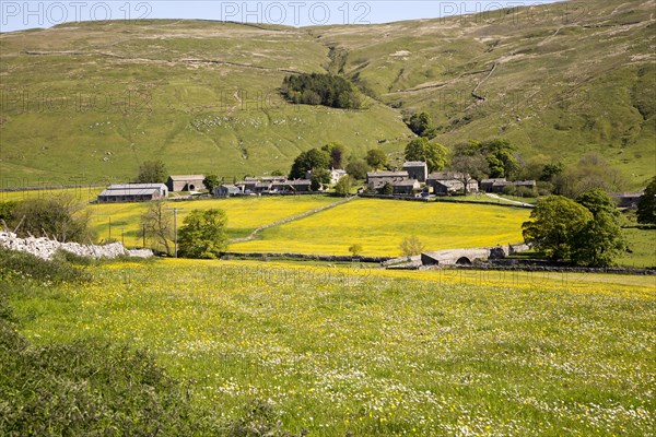 Halton Gill, Yorkshire Dales national park, England, UK