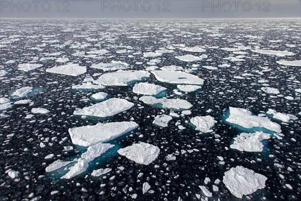 Sea ice, drift ice, ice floes floating in the Arctic Ocean, Nordaustlandet, North East Land, Svalbard, Spitsbergen, Norway, Europe