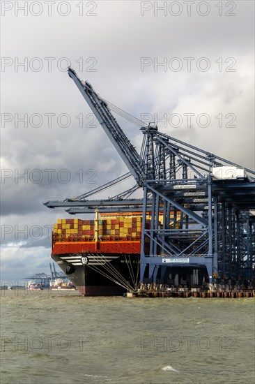 MSC Claude Girardet container ship built 2023, Port of Felixstowe, Suffolk, England, UK