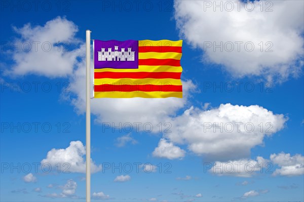 The flag of the Balearic Islands, Studio