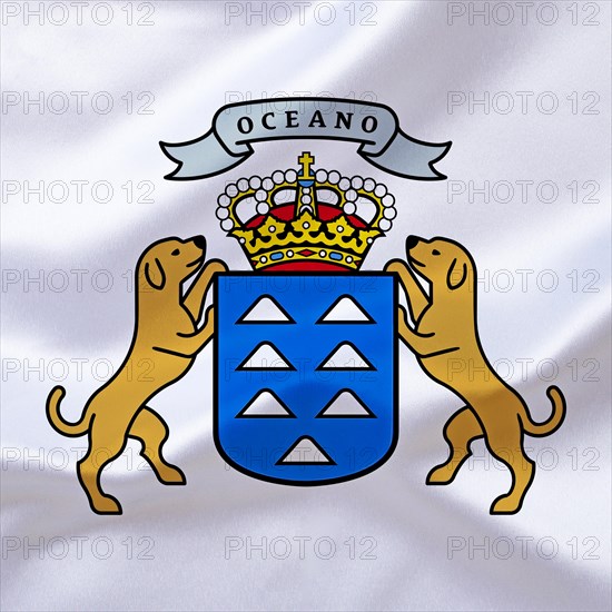 The coat of arms of the Canary Islands, Studio