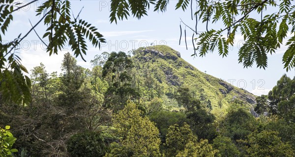 Little Adam's Peak mountain, Ella, Badulla District, Uva Province, Sri Lanka, Asia view of Little Adam's Peak, Asia