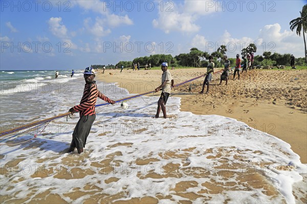 Traditional fishing hauling nets Nilavelli beach, near Trincomalee, Eastern province, Sri Lanka, Asia